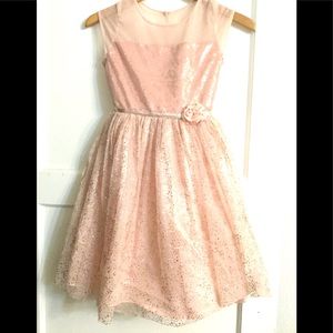 Joan Michelle Rose Gold Pink Sheer Sequence Sz. 12